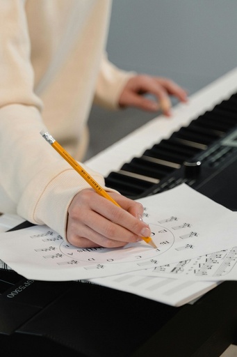 [COACHING-COMPO] Coaching en Composition et Harmonie musicale (SUR DEVIS)